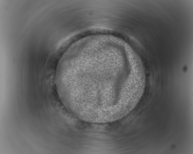 X0000115210870200911251505