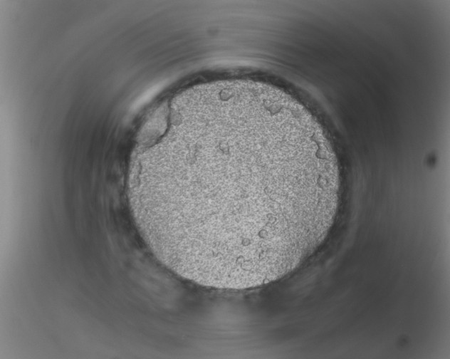 X0000115210871200911251505