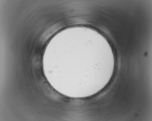 X0000115210873200911251505