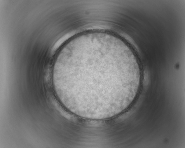 X0000115210874200911251505