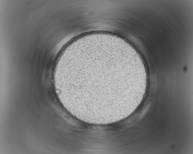 X0000115210875200911251505