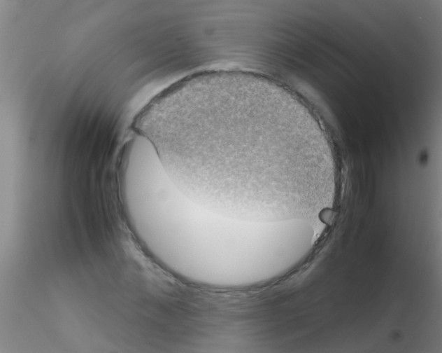 X0000115210876200911251505