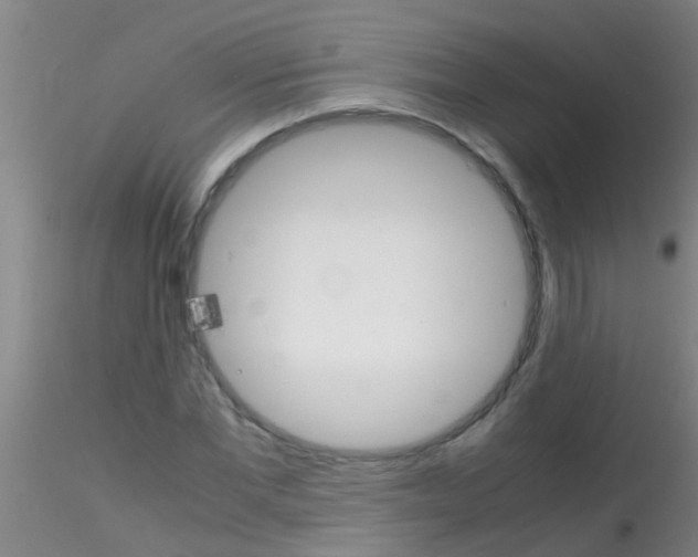 X0000115210877200911251505