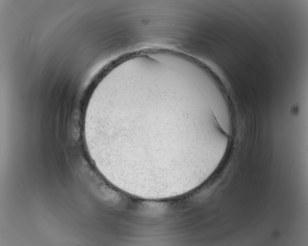 X0000115210878200911251505