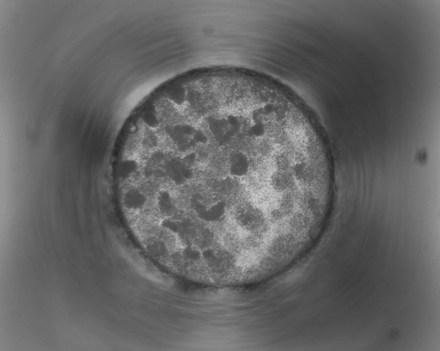 X0000115210879200911251505