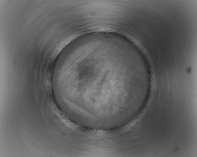 X0000115210881200911251505