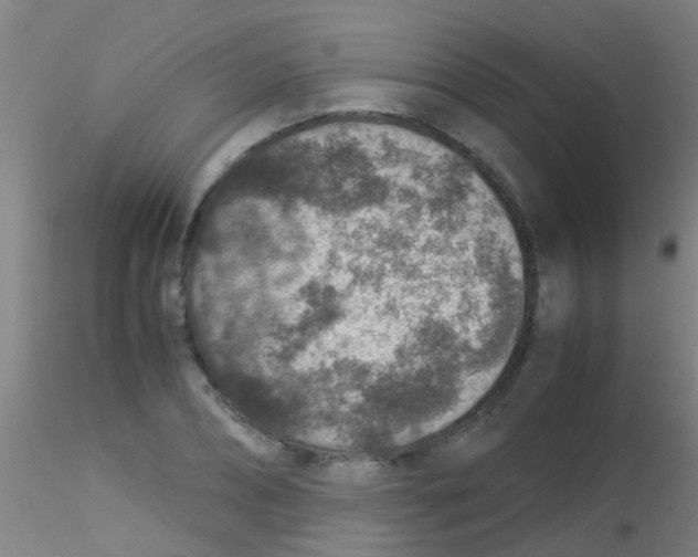 X0000115210882200911251505