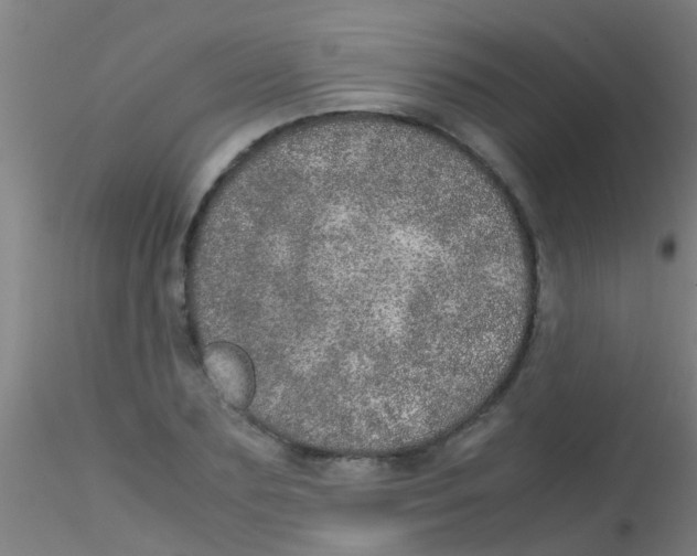 X0000115210883200911251505