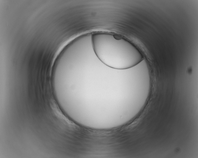 X0000115210884200911251505