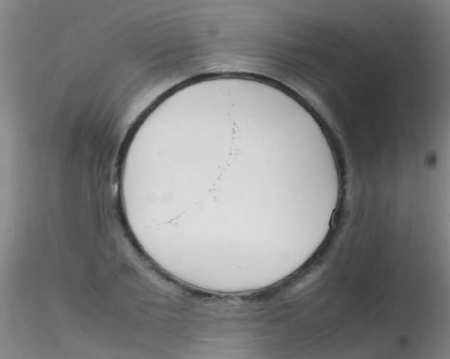 X0000115210885200911251505