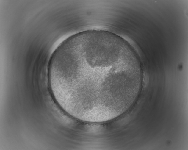 X0000115210886200911251505