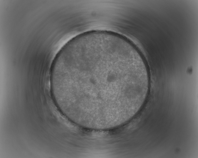 X0000115210887200911251505