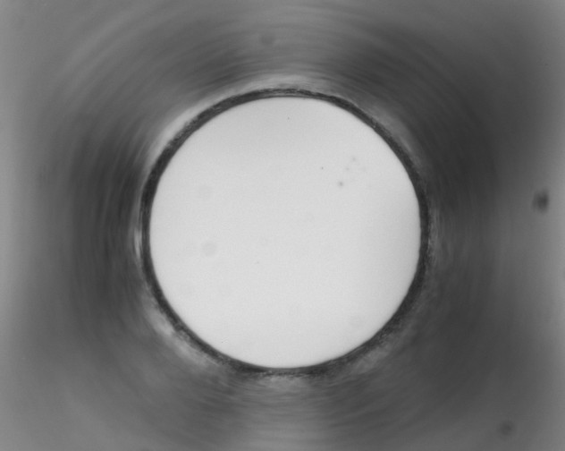 X0000115210888200911251505