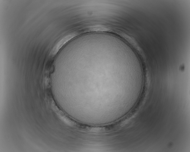 X0000115210889200911251505