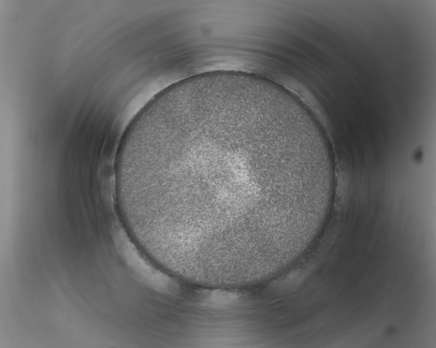 X0000115210890200911251505