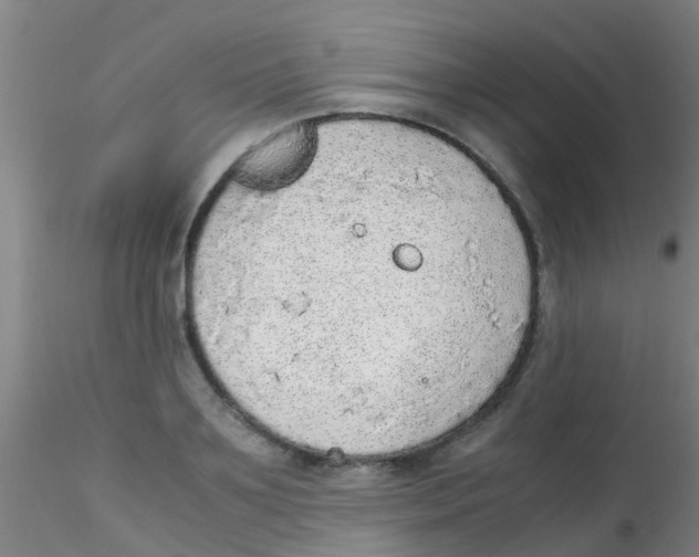 X0000115210891200911251505