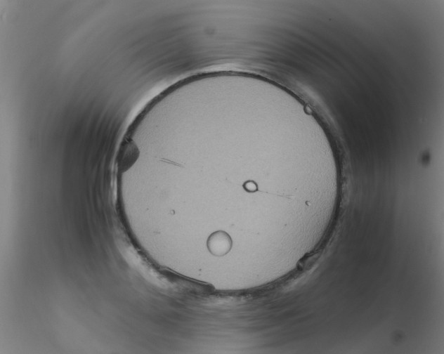 X0000115210892200911251505