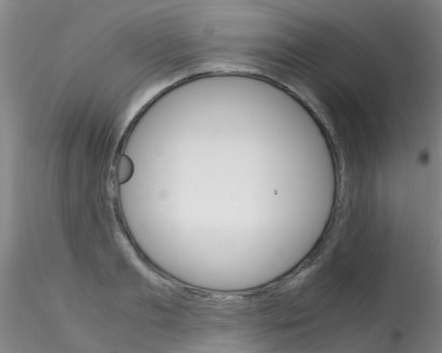 X0000115210893200911251504