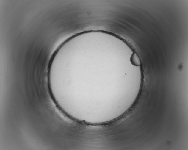 X0000115210894200911251504