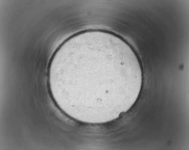 X0000115210895200911251504