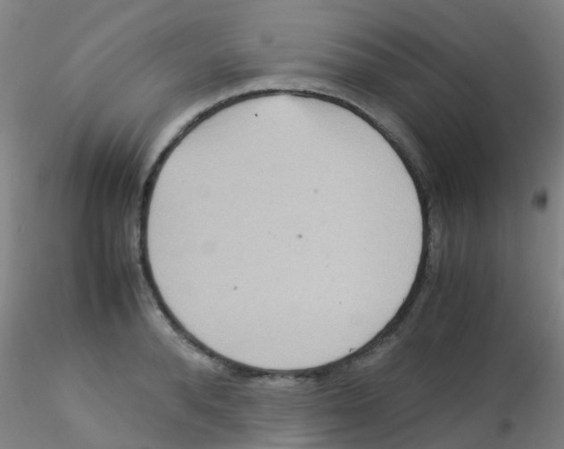 X0000115210896200911251504