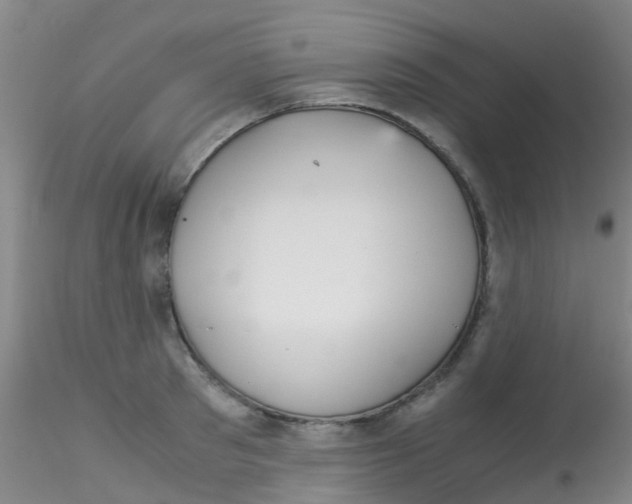 X0000115210897200911251504