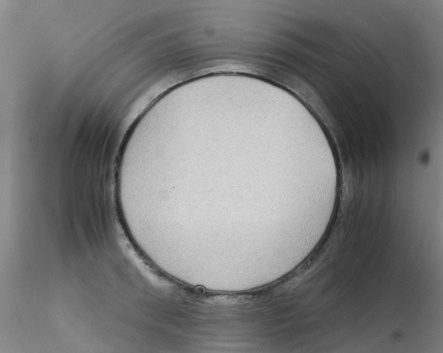 X0000115210898200911251504