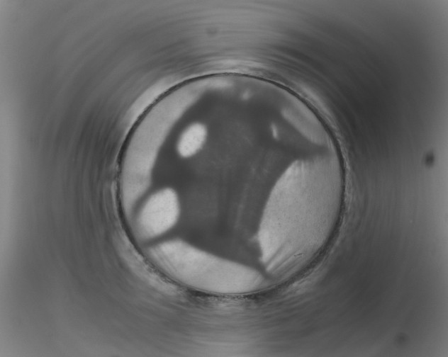 X0000115210899200911251504