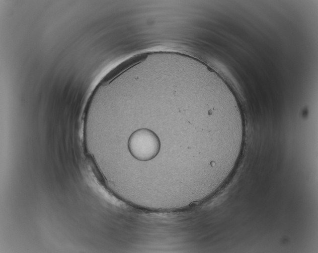 X0000115210900200911251504