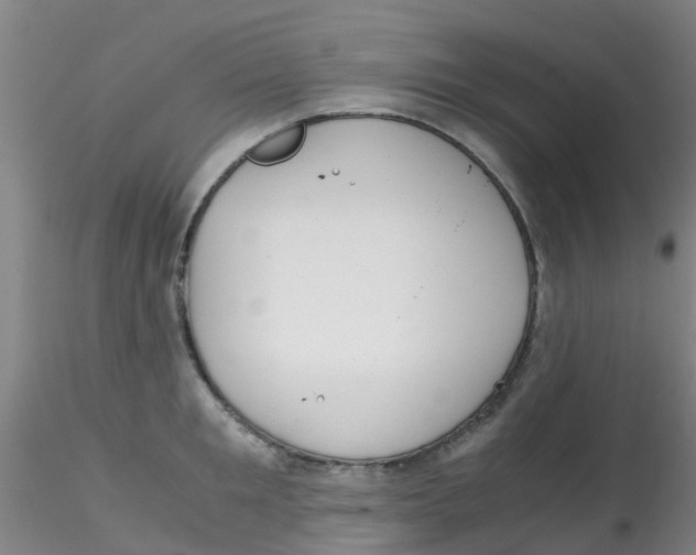 X0000115210901200911251504