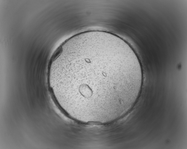 X0000115210902200911251504