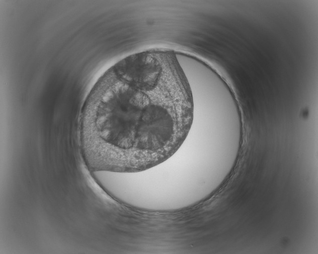 X0000115210903200911251504