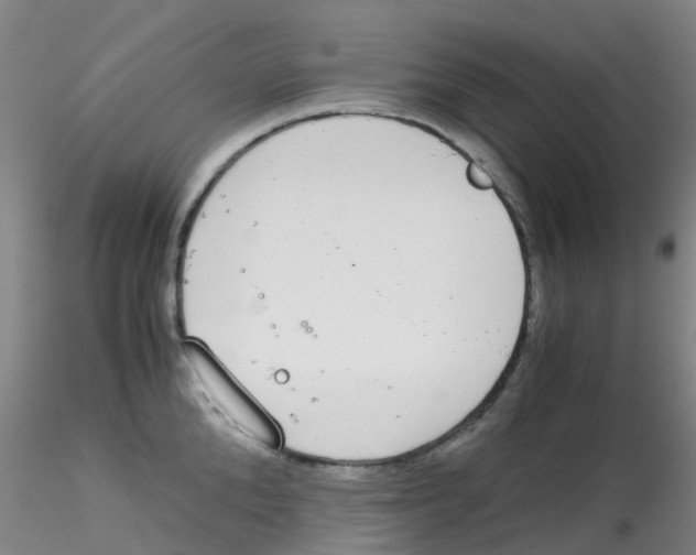 X0000115210904200911251504