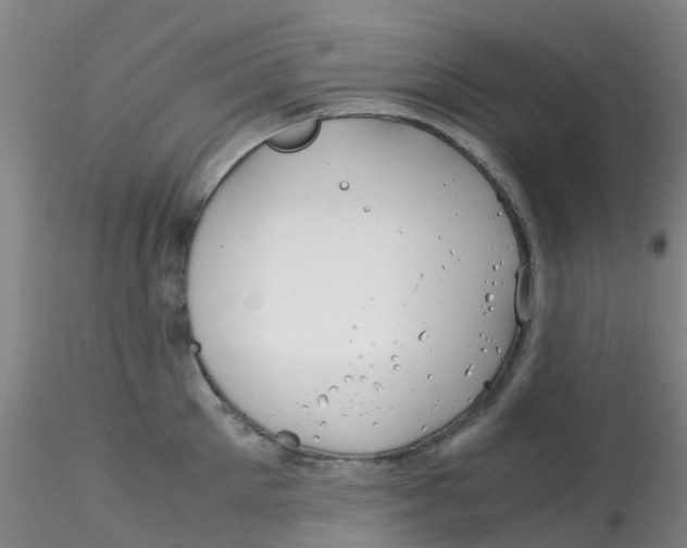 X0000115210905200911251504