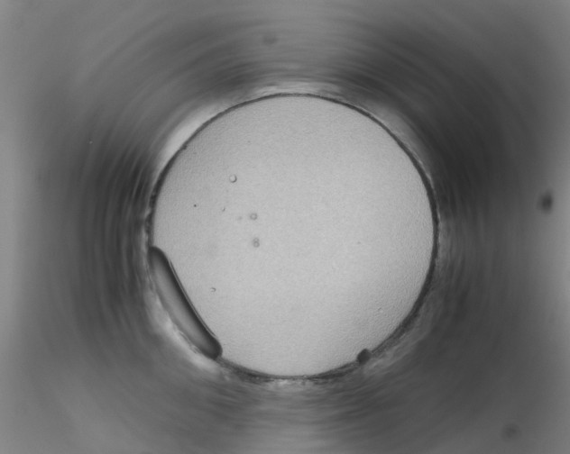 X0000115210906200911251504