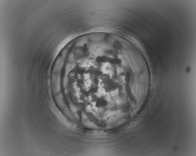 X0000115210907200911251504