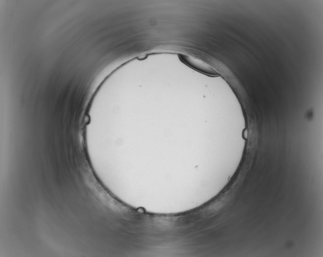 X0000115210908200911251504