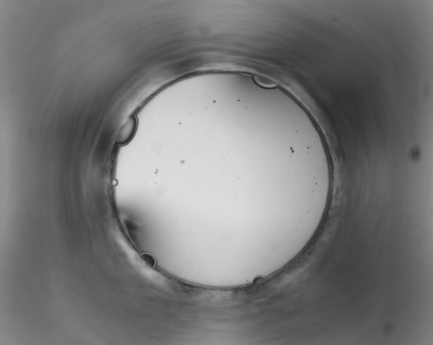 X0000115210909200911251504