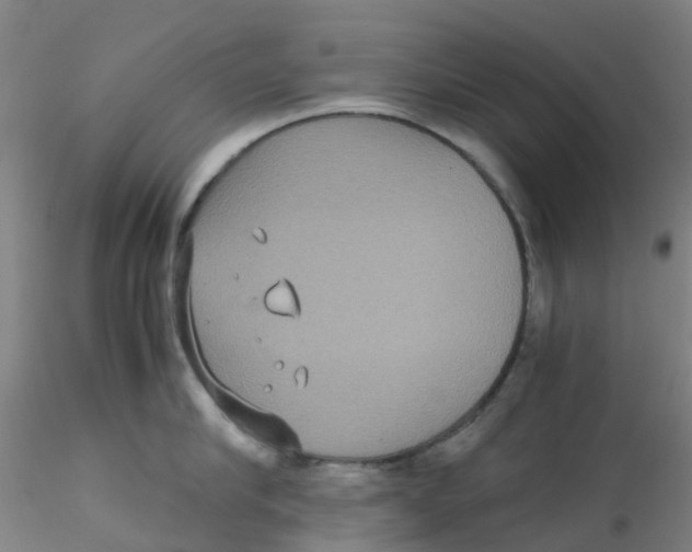 X0000115210910200911251504