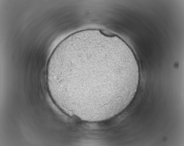 X0000115210911200911251504