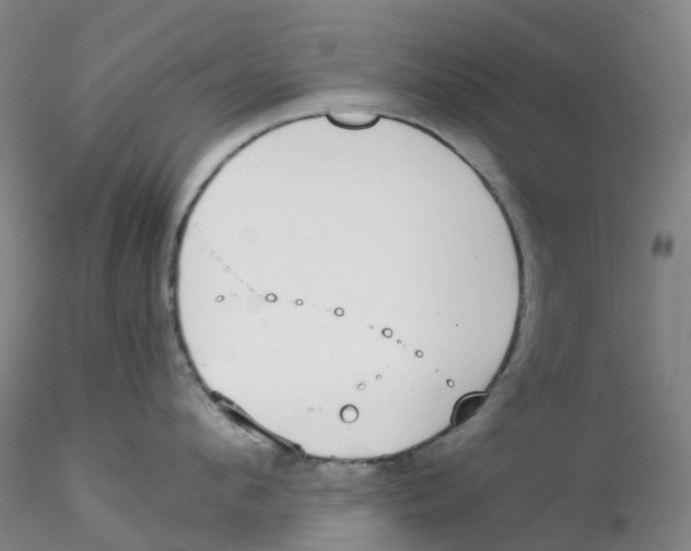 X0000115210912200911251504