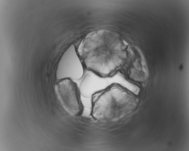 X0000115210913200911251503