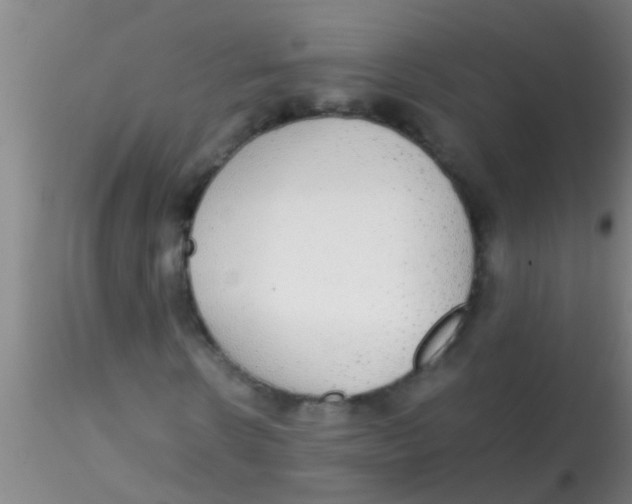 X0000115210914200911251503