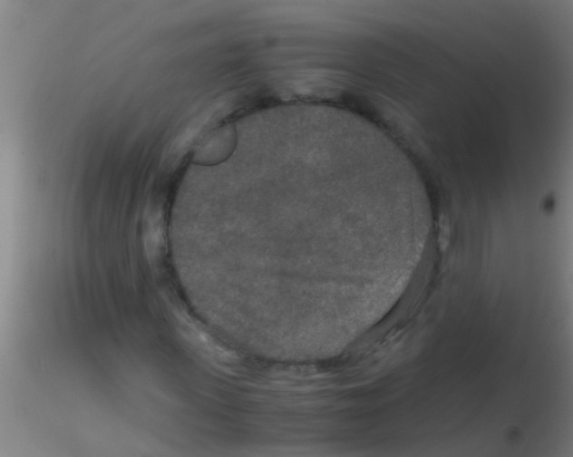 X0000115210915200911251503