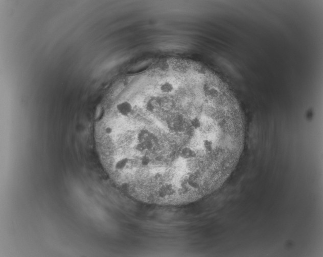 X0000115210917200911251503