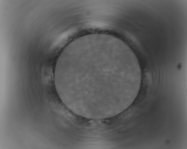 X0000115210918200911251503