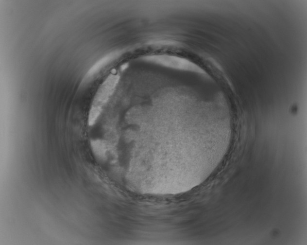 X0000115210919200911251503