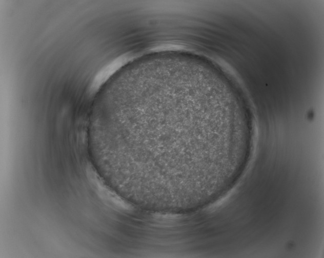 X0000115210921200911251504