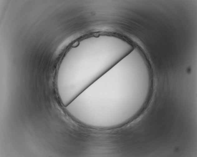 X0000115210922200911251504