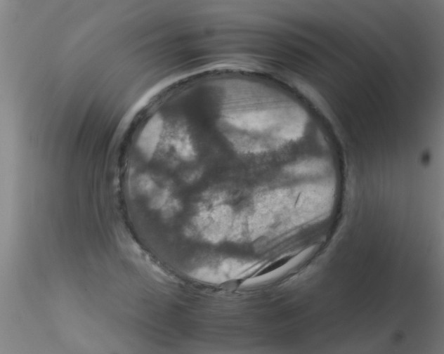 X0000115210923200911251504